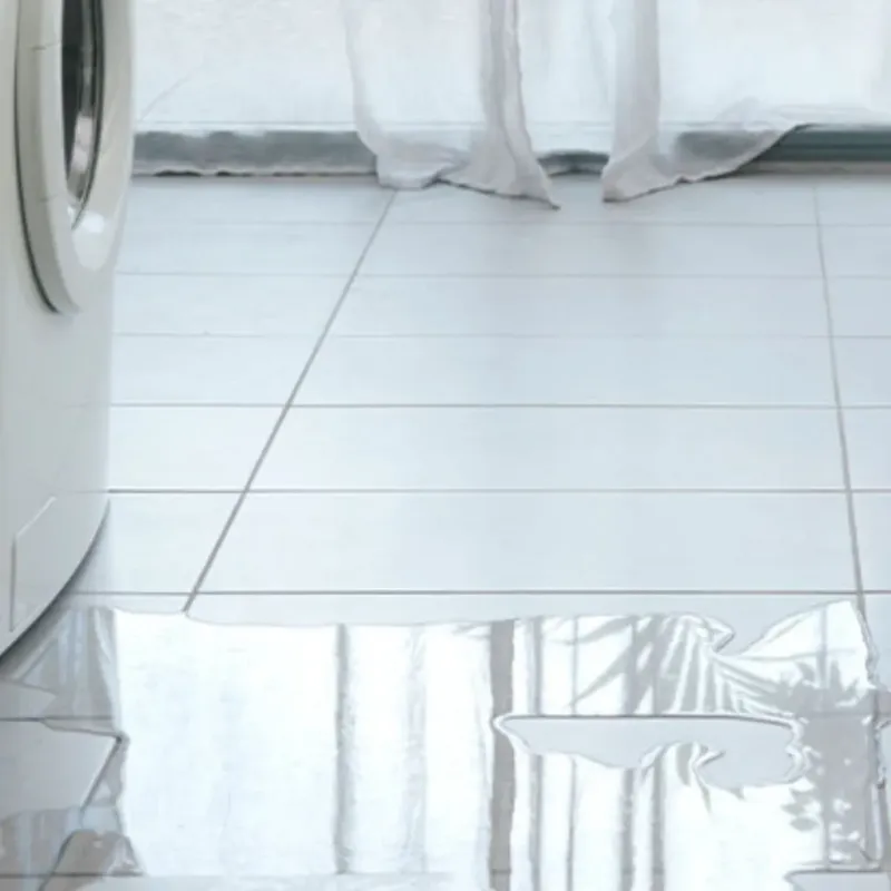 Appliance Leak Cleanup in Bond County, IL