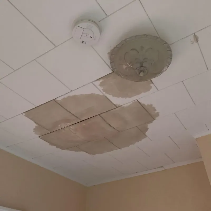 Ceiling Water Damage Repair in Bond County, IL