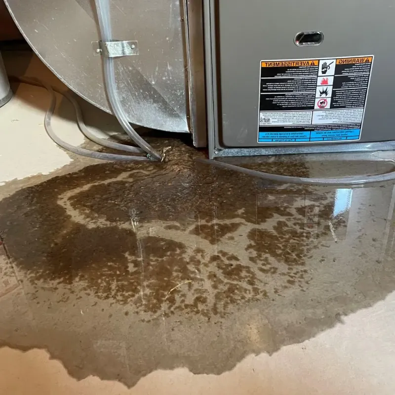 Pipe Burst and Leak Restoration in Bond County, IL