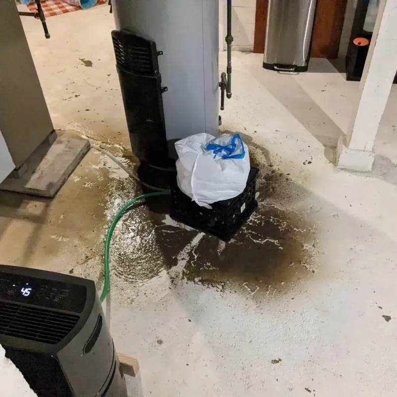 Sewage Backup Cleanup Service in Bond County, IL